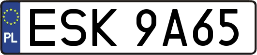 ESK9A65
