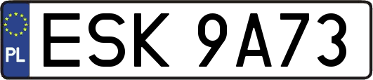 ESK9A73