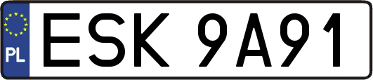 ESK9A91