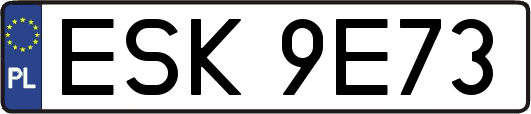 ESK9E73