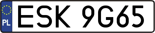ESK9G65