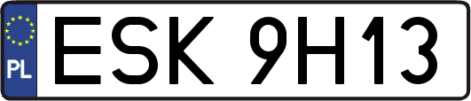 ESK9H13