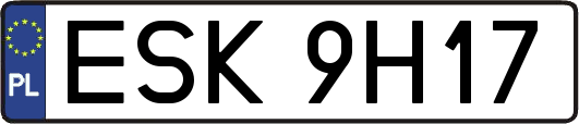 ESK9H17