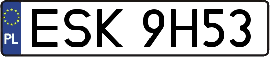 ESK9H53