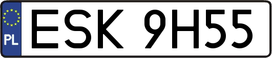 ESK9H55