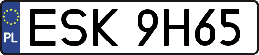 ESK9H65