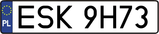 ESK9H73