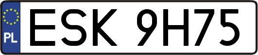 ESK9H75