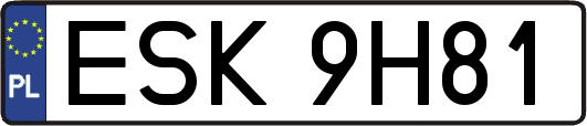 ESK9H81