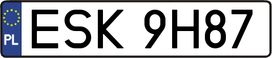 ESK9H87
