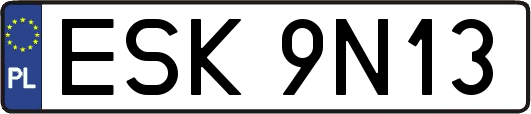 ESK9N13