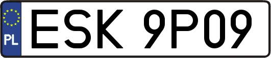 ESK9P09