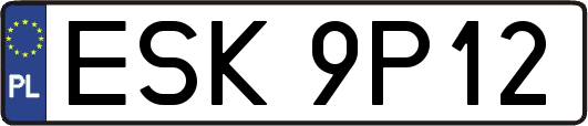 ESK9P12