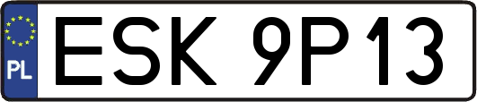 ESK9P13