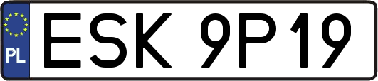 ESK9P19