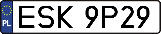 ESK9P29