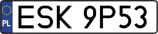 ESK9P53