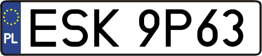 ESK9P63