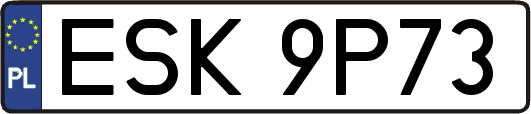 ESK9P73