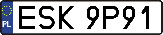 ESK9P91