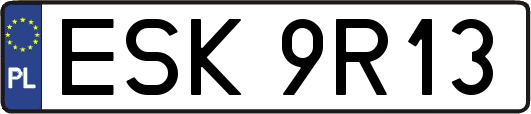 ESK9R13
