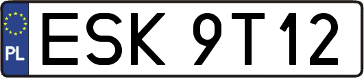 ESK9T12