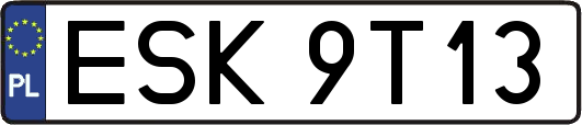 ESK9T13