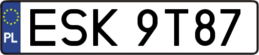 ESK9T87