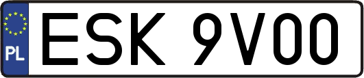 ESK9V00