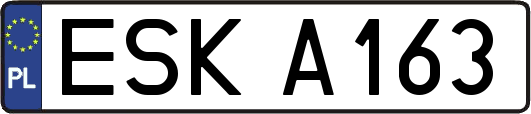 ESKA163
