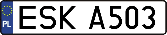 ESKA503