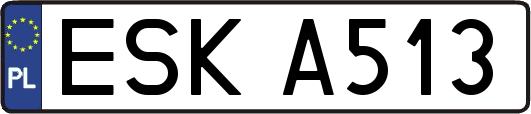 ESKA513