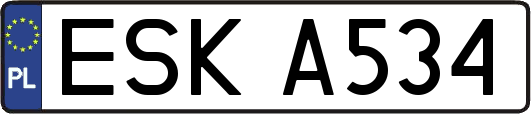ESKA534