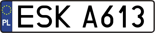 ESKA613