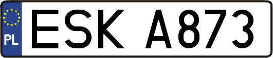 ESKA873