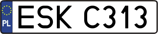 ESKC313