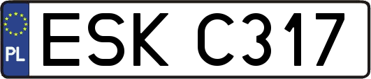 ESKC317
