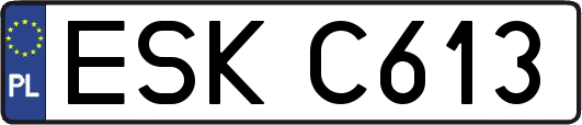ESKC613