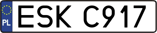 ESKC917
