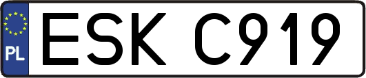 ESKC919