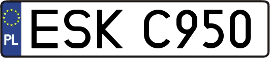 ESKC950