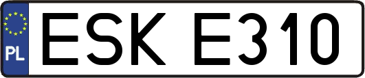ESKE310