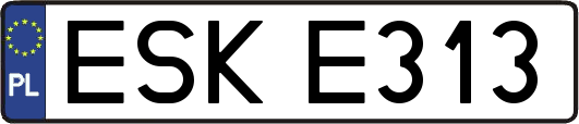 ESKE313