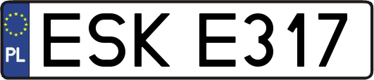 ESKE317