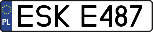 ESKE487