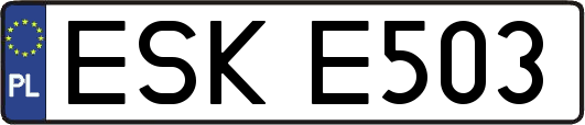 ESKE503
