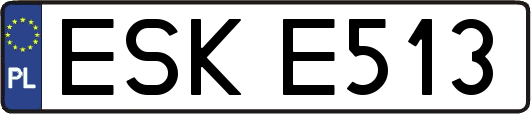 ESKE513