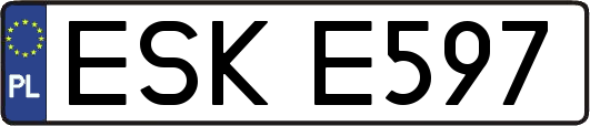 ESKE597