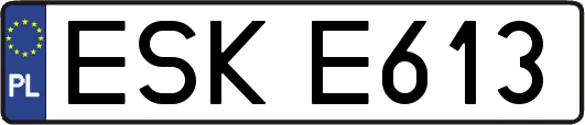 ESKE613