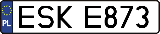 ESKE873